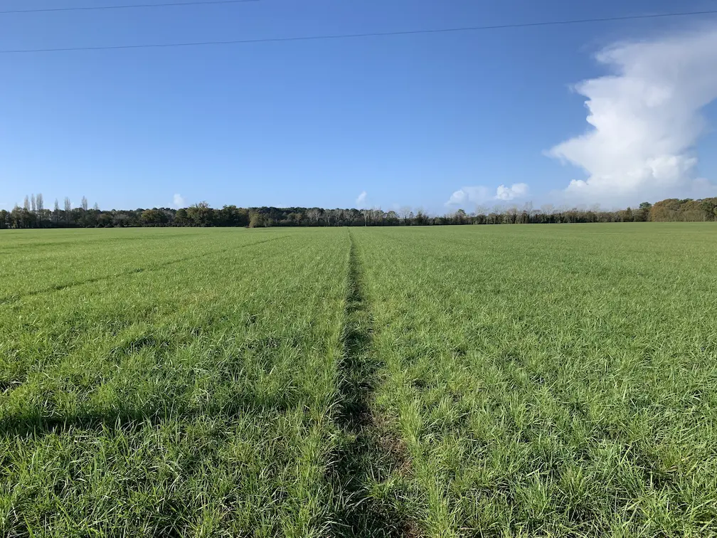 découvrez le quotidien des agriculteurs, ces acteurs essentiels de notre alimentation. explorez leurs pratiques, innovations, défis et l'importance de l'agriculture durable pour un avenir meilleur.