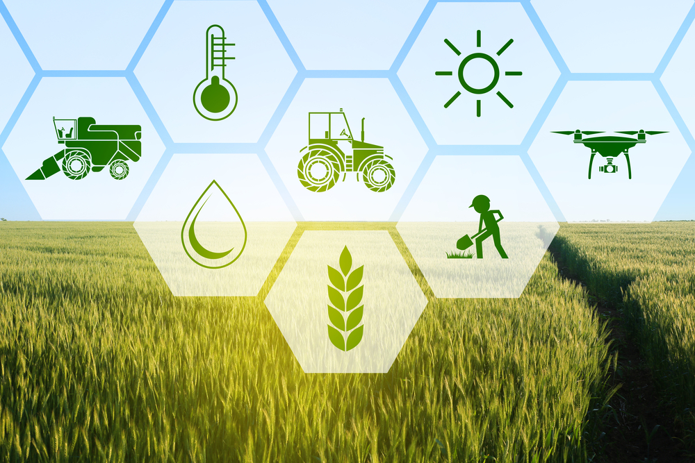 découvrez le monde fascinant de l'agriculture : techniques innovantes, pratiques durables et l'impact de l'agriculture sur l'environnement et l'économie. explorez les enjeux contemporains et les solutions pour un futur alimentaire responsable.