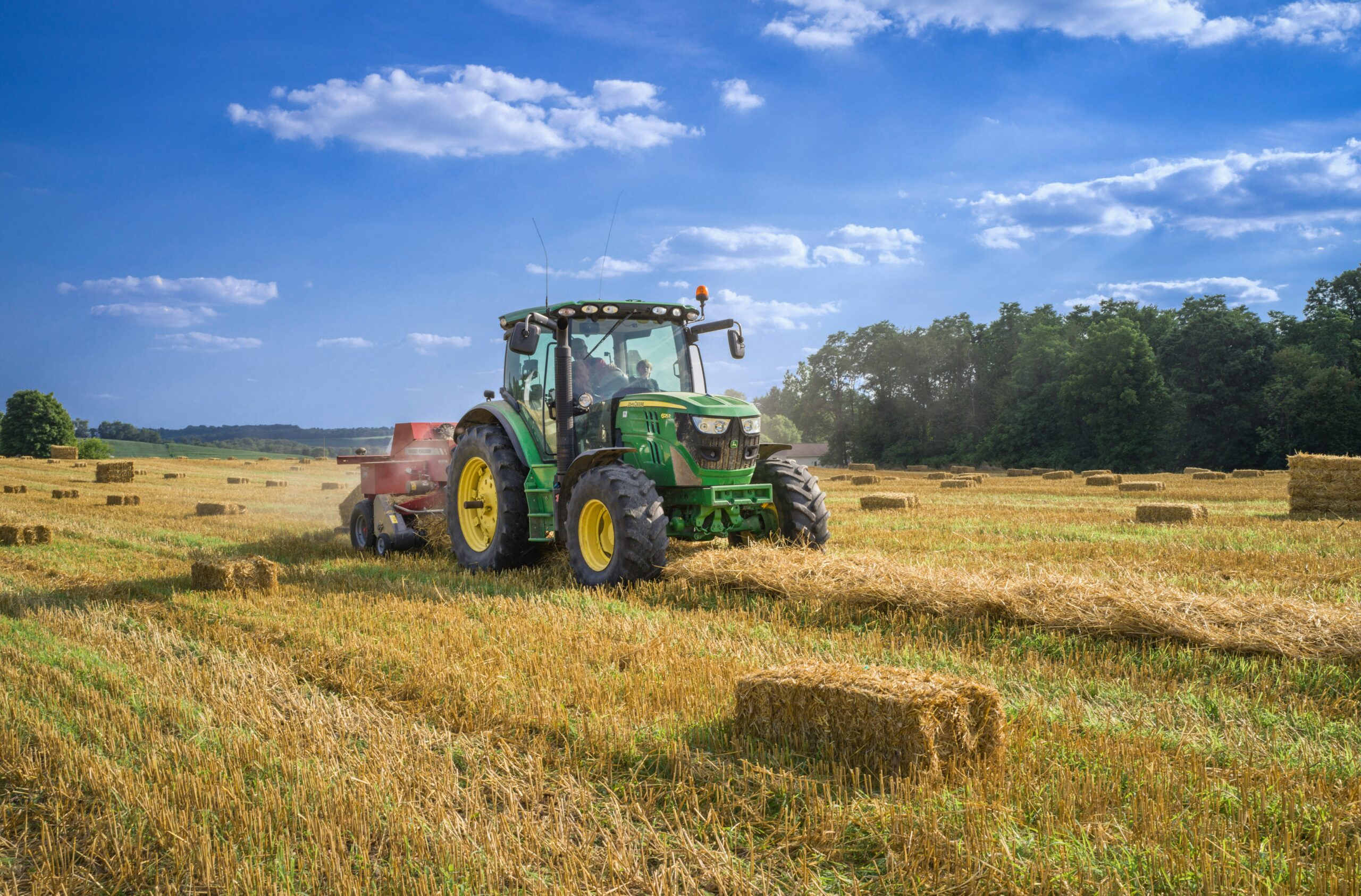 découvrez l'univers de l'agriculture, ses pratiques durables, ses innovations technologiques et son impact sur l'environnement. plongez dans des articles, conseils et tendances pour une agriculture responsable et efficiente.