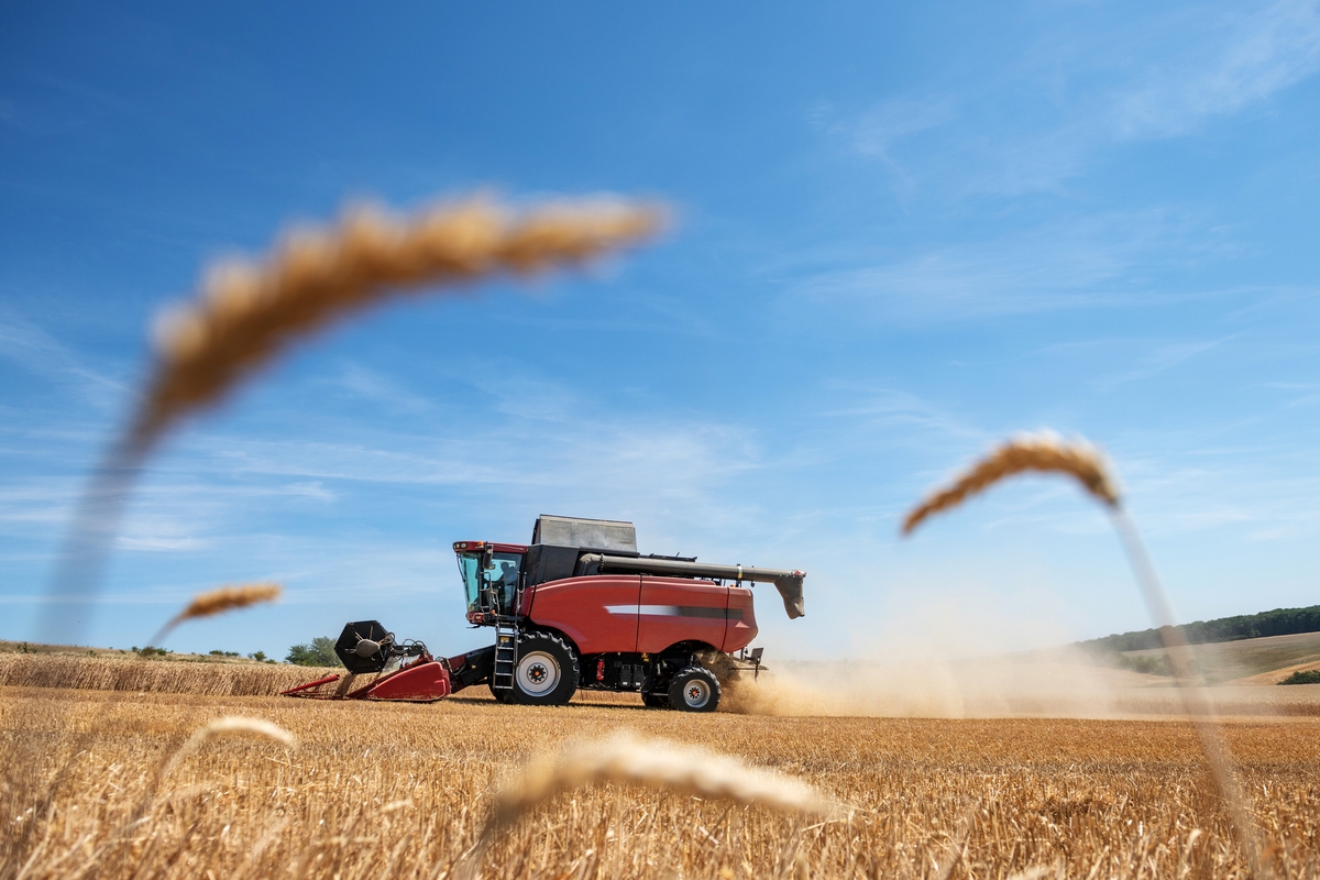 découvrez le monde fascinant de l'agriculture, où des pratiques durables et des innovations technologiques se rencontrent pour nourrir la population mondiale. explorez les enjeux environnementaux, les méthodes de culture modernes et les tendances agricoles qui façonnent notre avenir.