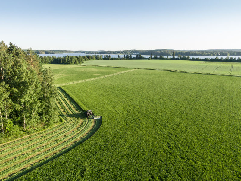 découvrez des stratégies et des conseils pour rendre votre exploitation agricole plus rentable. apprenez à optimiser vos ressources, à diversifier vos cultures et à maximiser vos profits tout en respectant l'environnement.