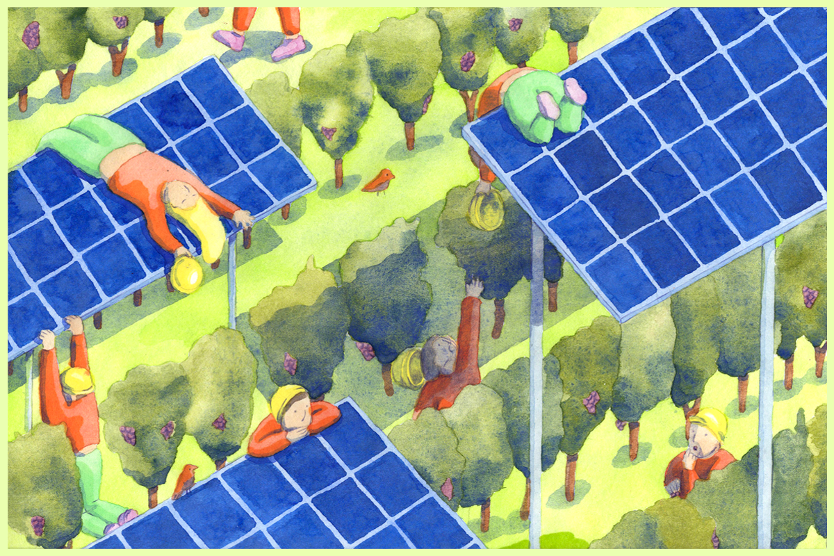 découvrez l'agriculture solaire, une approche innovante qui combine la production d'énergie renouvelable et l'agriculture durable. optimisez vos cultures tout en préservant l'environnement grâce à des solutions solaires efficaces.