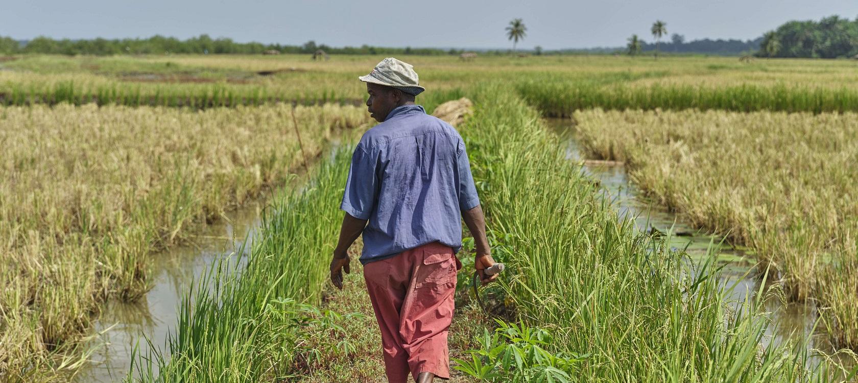 découvrez l'univers de l'agriculture, ses techniques innovantes, ses enjeux écologiques et son rôle crucial dans l'alimentation mondiale. explorez les tendances durables et les avancées technologiques qui façonnent l'avenir agricole.