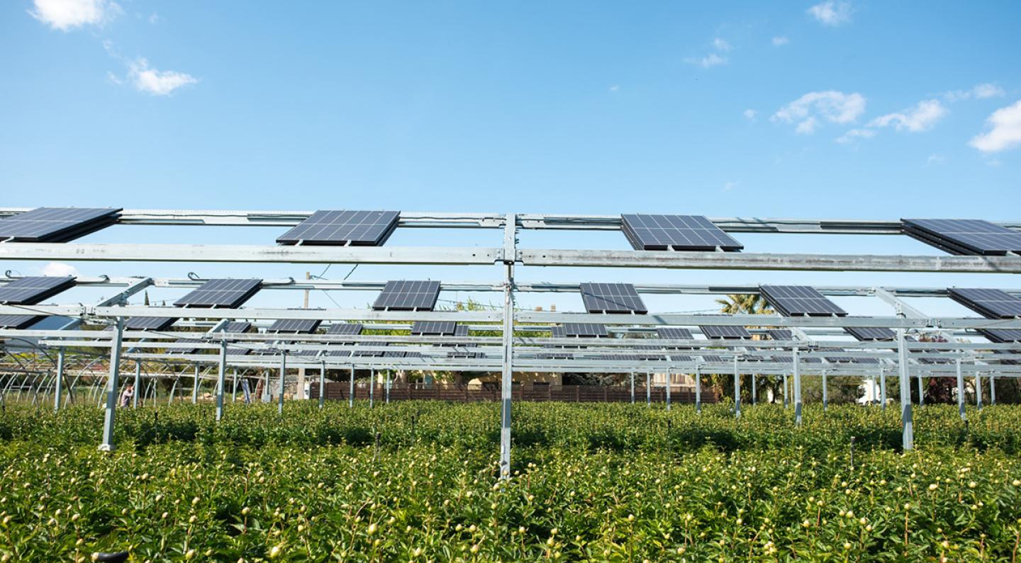 découvrez l'agro-voltaïque, une solution innovante alliant agriculture et production d'énergie solaire. apprenez comment cette méthode durable optimise l'utilisation des terres, améliore les rendements agricoles et contribue à la transition énergétique.