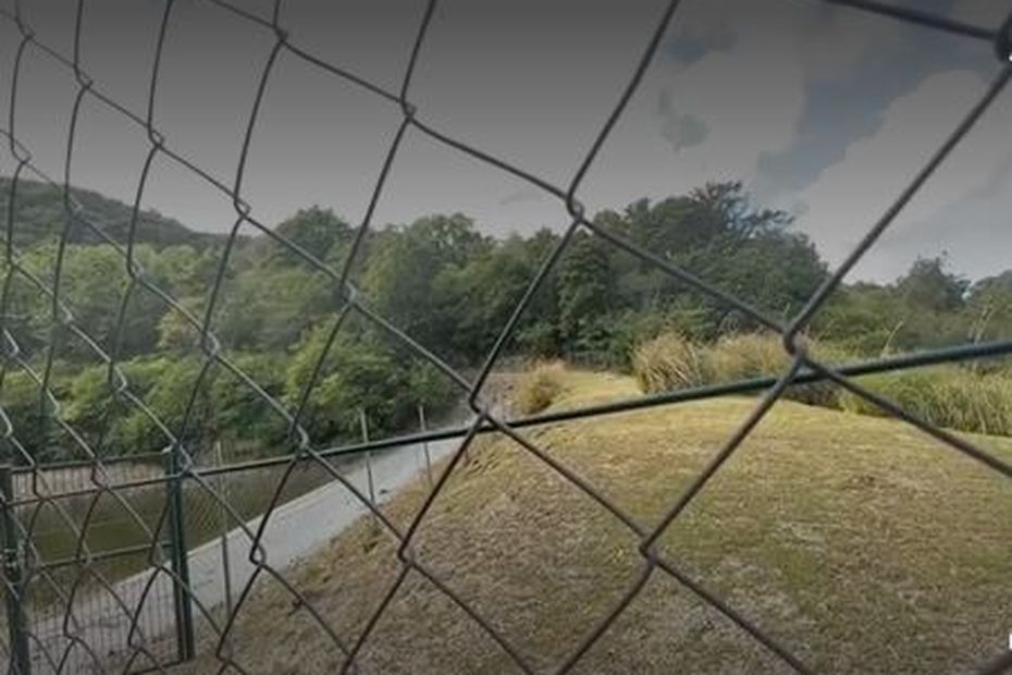 découvrez les avantages de l'agro-voltaïque, une pratique innovante alliant l'agriculture et la production d'énergie solaire. apprenez comment cette méthode durable optimise l'utilisation des terres, améliore la biodiversité et contribue à la transition énergétique.