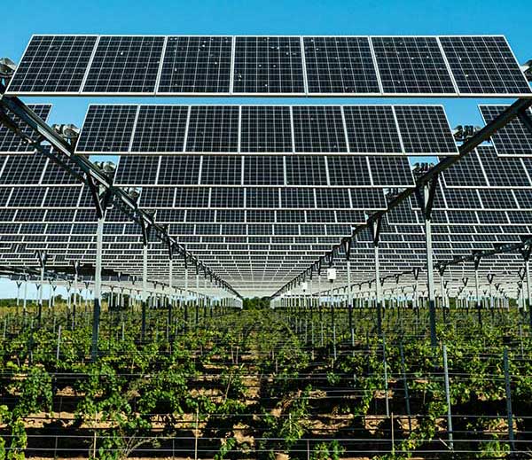 découvrez l'agro-voltaïque, une méthode innovante qui combine agriculture et production d'énergie solaire. optimisez vos terres tout en contribuant à la transition énergétique, en tirant profit de cette synergie durable pour un avenir plus vert.