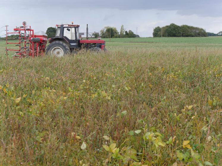 découvrez notre aide agricole, un accompagnement sur mesure pour les agriculteurs afin de maximiser leurs rendements, accéder à des ressources essentielles et naviguer dans les défis du secteur. rejoignez-nous pour bénéficier d'expertises et de solutions innovantes adaptées à vos besoins.