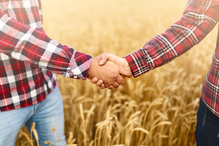 découvrez nos conseils et ressources sur l'aide agricole pour soutenir les agriculteurs et optimiser vos pratiques agricoles. accédez à des informations sur les subventions, prêts et programmes d'assistance pour une agriculture durable et florissante.