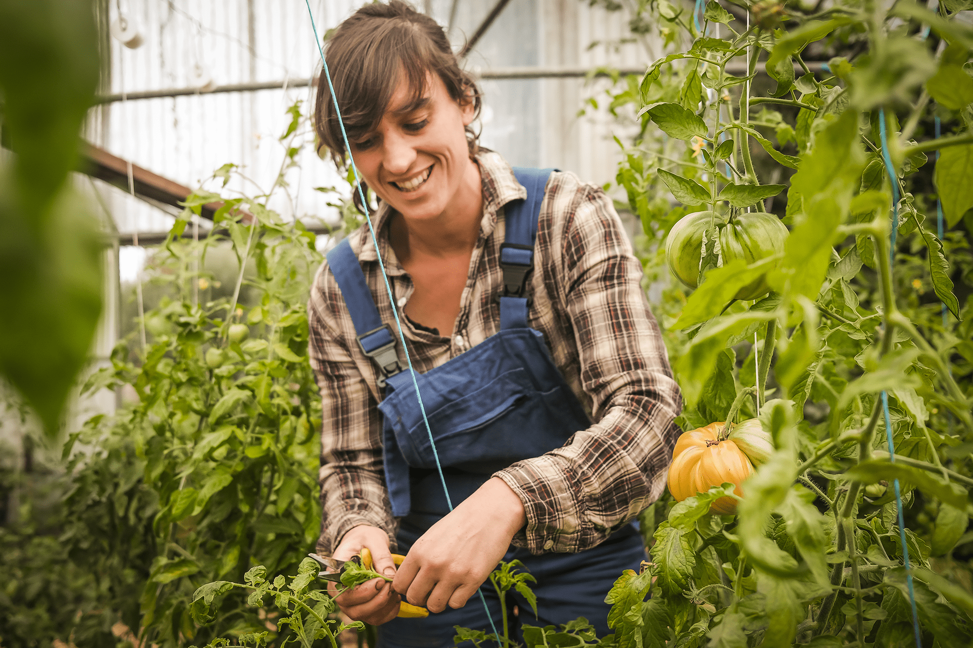 découvrez notre plateforme dédiée à l'aide gratuite pour les agriculteurs. accédez à des ressources, des conseils pratiques et des solutions innovantes pour optimiser votre activité agricole et surmonter les défis du secteur.