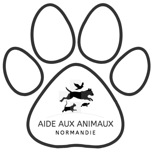 découvrez aide normandie, votre plateforme d'assistance dédiée aux résidents de la région normandie. profitez d'informations, de ressources et de soutien sur divers sujets tels que l'emploi, la santé, la culture et l'éducation. ensemble, facilitons votre quotidien et améliorons votre qualité de vie en normandie.