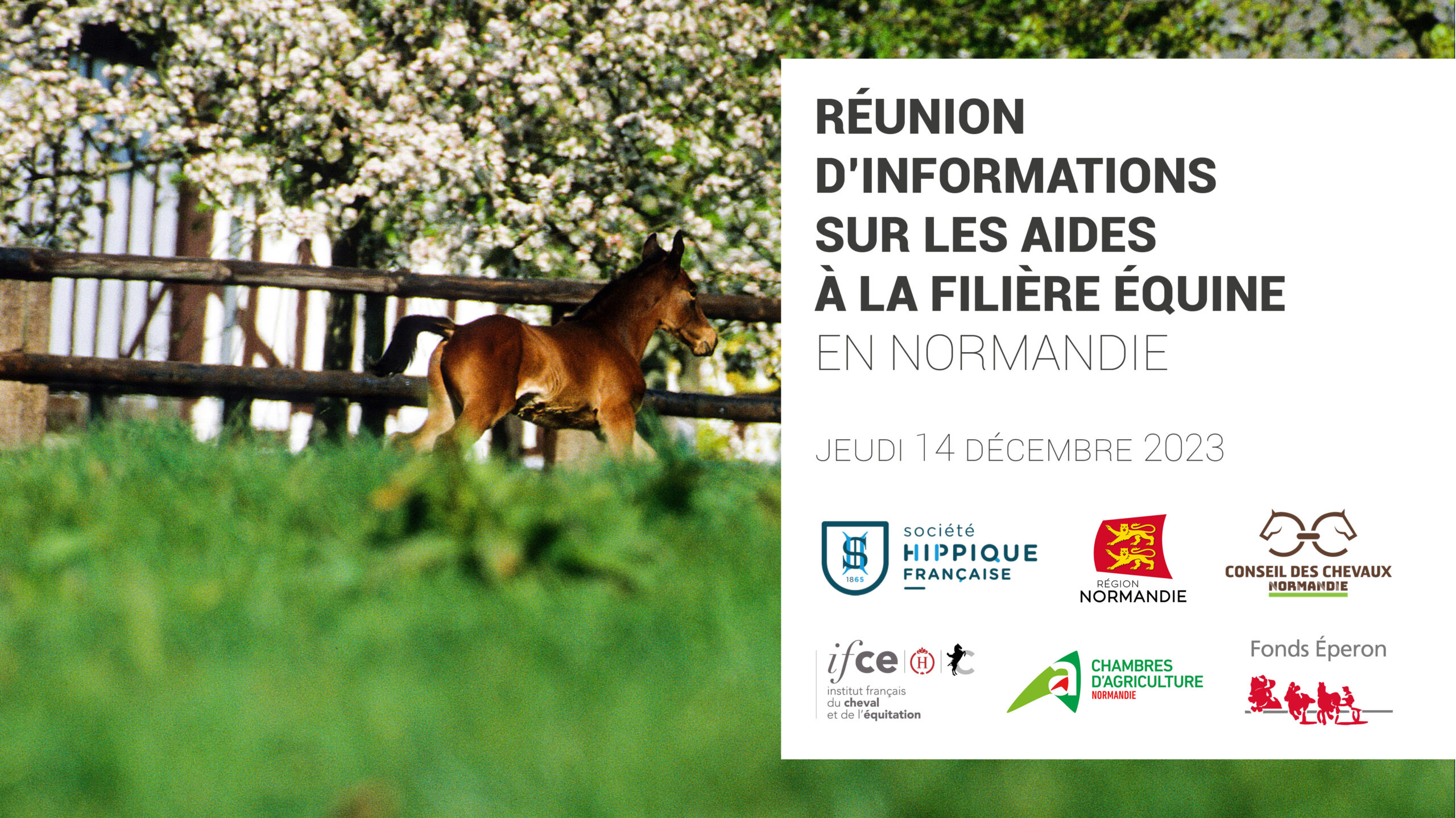 découvrez les aides disponibles en normandie pour soutenir vos projets personnels et professionnels. que ce soit pour la création d'entreprise, l'amélioration de votre habitat ou l'accès à la formation, explorez les nombreuses possibilités d'accompagnement et de financement offertes dans la région.