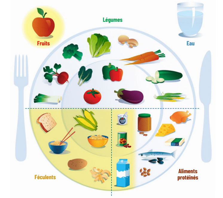 découvrez l'importance d'une alimentation équilibrée pour une vie saine. explorez des conseils nutritionnels, des recettes savoureuses et des astuces pour intégrer des aliments variés à votre quotidien.
