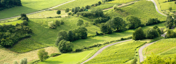découvrez des conseils et des pratiques optimales pour l'aménagement agricole, afin d'optimiser vos terres, améliorer la productivité et promouvoir une agriculture durable. explorez les techniques innovantes et adaptées aux différents types de cultures.