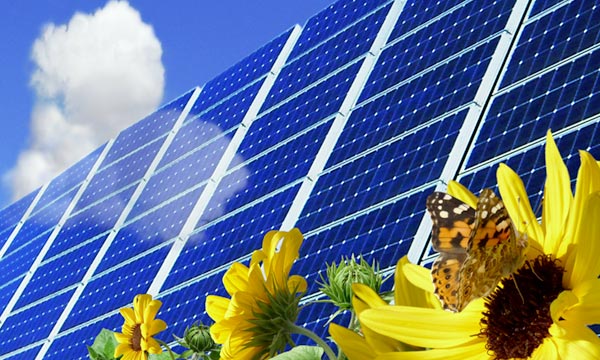 découvrez notre assurance photovoltaïques, conçue pour protéger votre investissement dans l'énergie solaire. garantissez la sécurité de vos panneaux avec une couverture adaptée aux risques spécifiques, des services de maintenance et un soutien personnalisé. profitez de l'énergie renouvelable en toute sérénité.