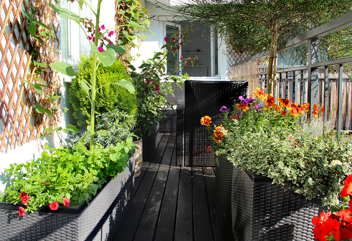 découvrez comment aménager et optimiser votre balcon pour en faire un espace de détente agréable. des idées de décoration, des conseils pratiques et des astuces pour profiter pleinement de votre balcon, quelle que soit sa taille.