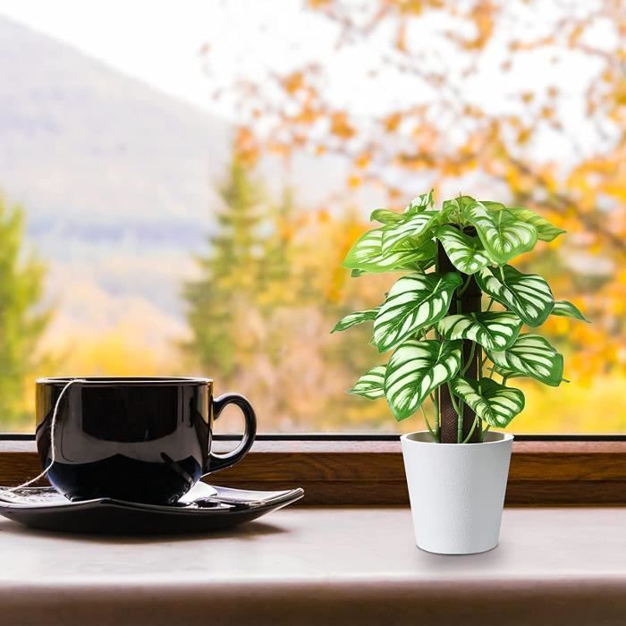 découvrez comment aménager un balcon factice pour apporter une touche de charme à votre intérieur. idées, conseils et inspirations pour créer un espace extérieur faux, mais esthétique et agréable.