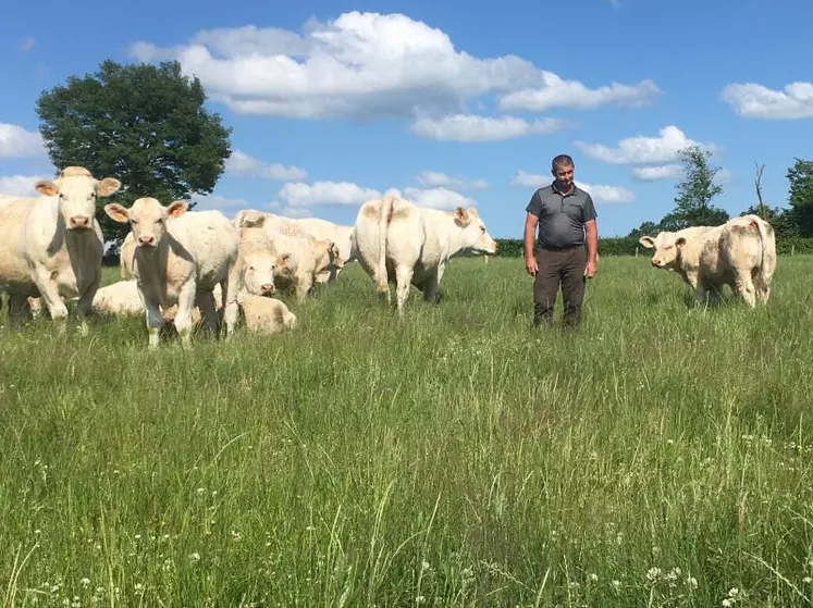 découvrez l'univers de l'élevage agricole, un secteur essentiel de l'agriculture qui allie savoir-faire traditionnel et innovations modernes. apprenez-en plus sur les différentes pratiques, les races d'animaux, les enjeux de durabilité et les bénéfices de l'élevage pour une alimentation responsable et de qualité.