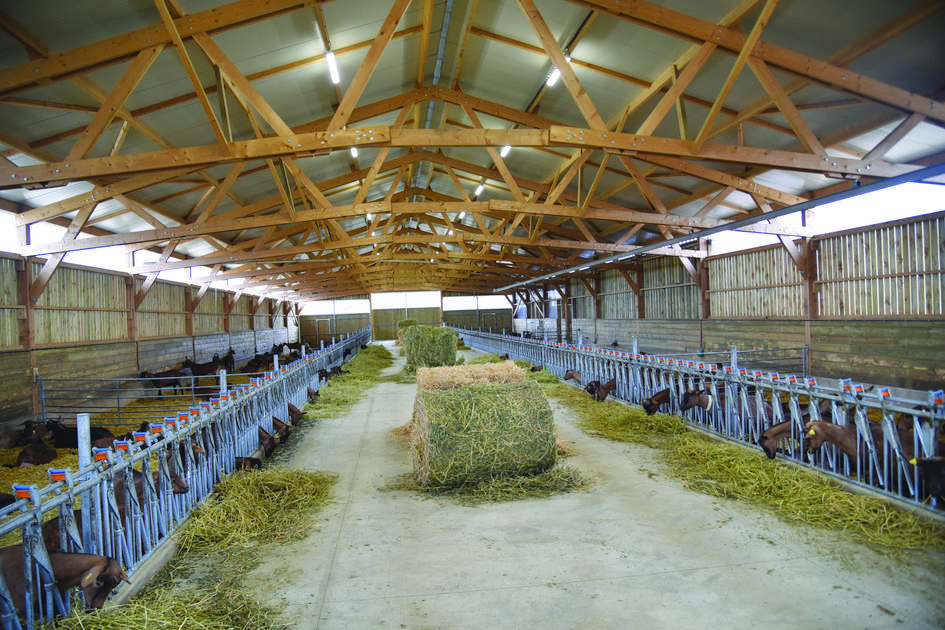 découvrez nos solutions innovantes pour la construction de bâtiments agricoles adaptés à vos besoins. optimisez vos espaces de travail avec des structures durables et performantes, conçues pour le secteur agricole.