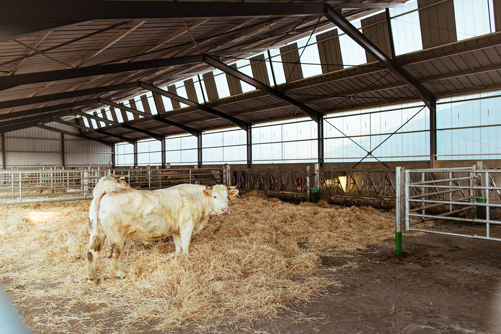 découvrez comment bénéficier d'un bâtiment photovoltaïque gratuit pour réduire vos factures d'énergie tout en contribuant à la transition énergétique. informez-vous sur les systèmes solaires innovants et les aides disponibles pour transformer votre espace en une source d'énergie durable.