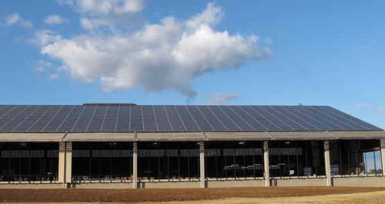 découvrez les avantages des bâtiments solaires, une solution écologique et économique pour préserver l'environnement tout en réduisant vos factures d'énergie. informez-vous sur les dernières innovations et technologies en matière d'énergie solaire adaptées à la construction.