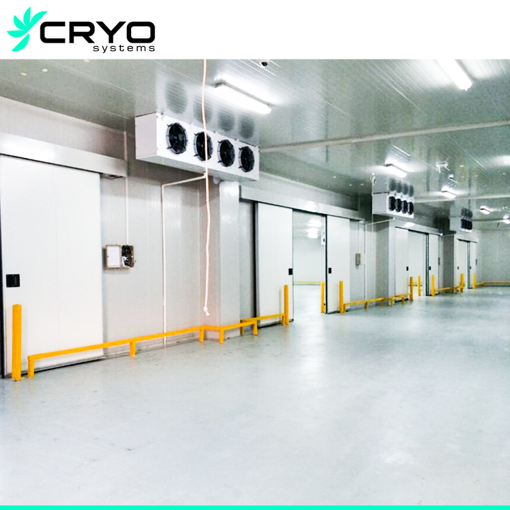 découvrez notre entrepôt spécialisé dans la conservation et la distribution de pommes de terre de qualité. profitez d'un large choix de variétés fraîches et savourez la garantie d'un produit local et soigneusement sélectionné.