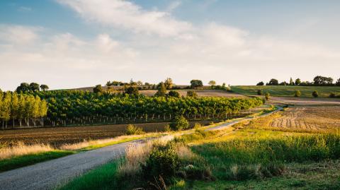 découvrez notre sélection de bâtiments agricoles à vendre, adaptés à tous vos besoins agricoles. que vous soyez agriculteur ou investisseur, trouvez la solution idéale pour améliorer votre exploitation. profitez d'offres compétitives et d'un accompagnement dédié.