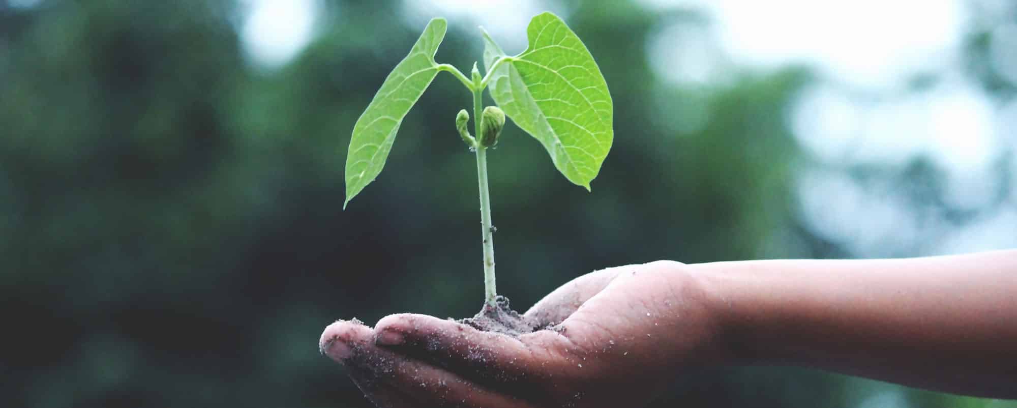découvrez notre blog dédié à l'énergie, où nous explorons les dernières tendances, innovations et conseils pour une consommation responsable et durable. restez informé sur les enjeux énergétiques actuels et apprenez à mieux gérer vos ressources.