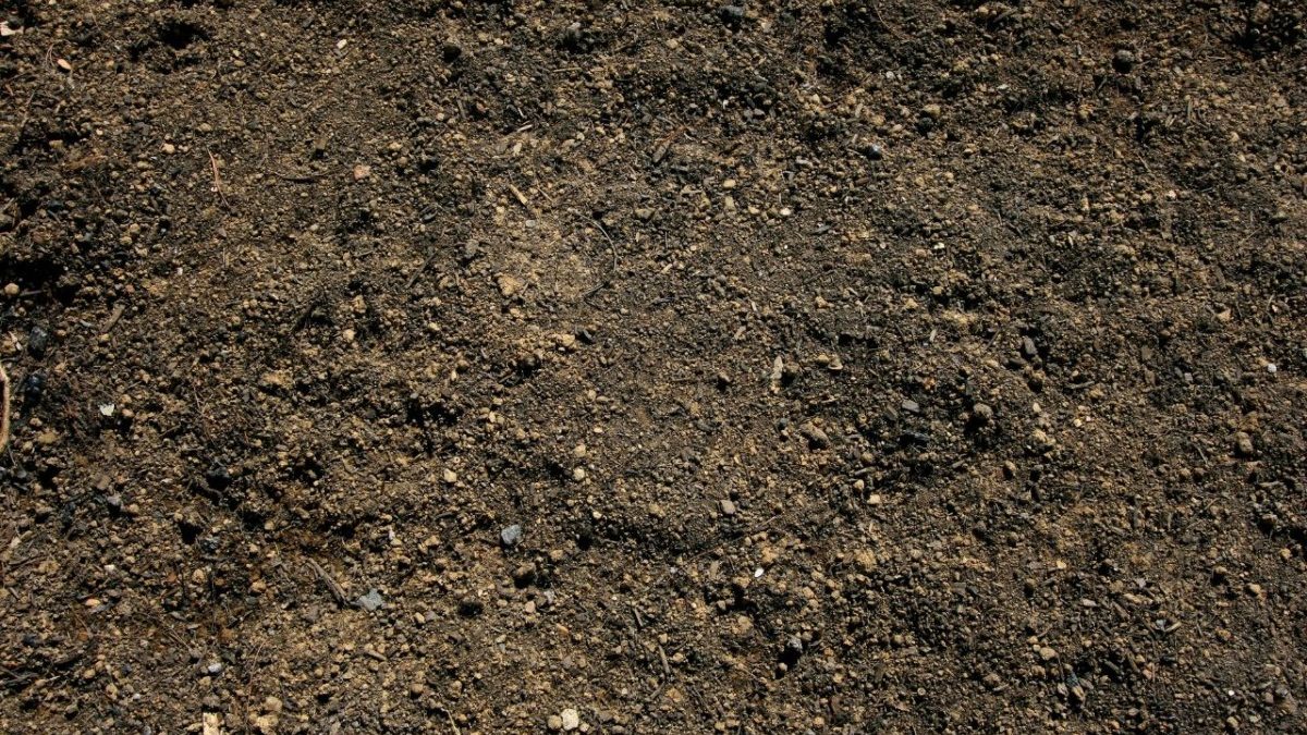 découvrez notre guide complet sur le calcul du mètre cube de terre. apprenez à déterminer le volume de terre nécessaire pour vos projets de jardinage, de construction ou d'aménagement paysager. astuces et outils inclus pour faciliter vos calculs.