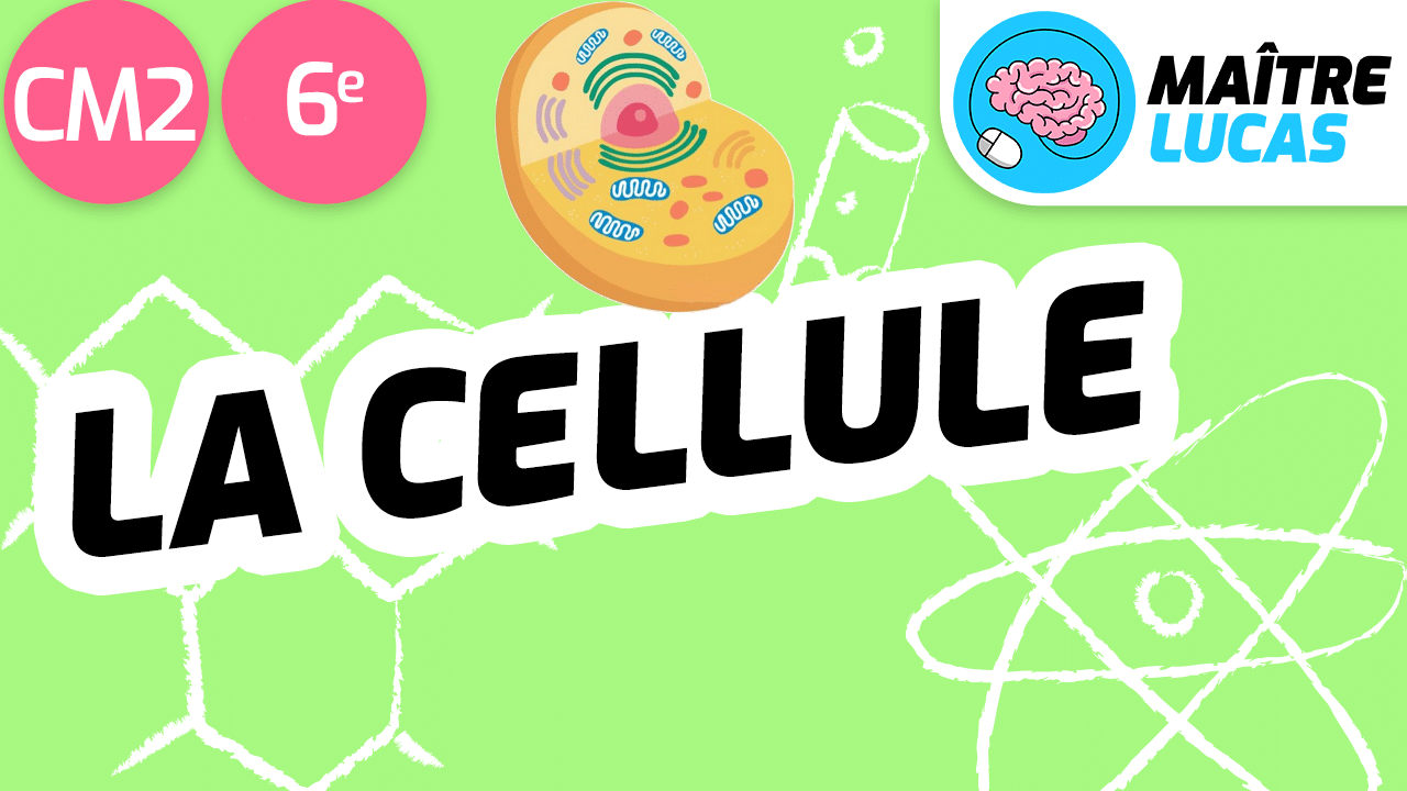 découvrez tout sur la cellule, l'unité fondamentale de la vie, ses structures, ses fonctions et son rôle essentiel dans les organismes vivants. apprenez comment ces petites entités façonnent la biologie et influencent la santé.
