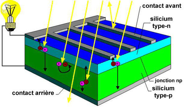 découvrez le fonctionnement et les avantages des cellules photovoltaïques, une technologie essentielle pour produire une énergie propre et renouvelable. apprenez comment ces dispositifs convertissent la lumière du soleil en électricité et contribuent à la transition énergétique.