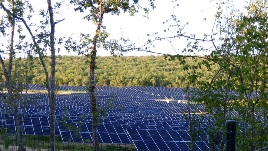 découvrez comment un champ photovoltaïque transforme la lumière du soleil en énergie renouvelable efficace. explorez les avantages, les technologies utilisées et l'impact environnemental positif de cette solution énergétique durable.
