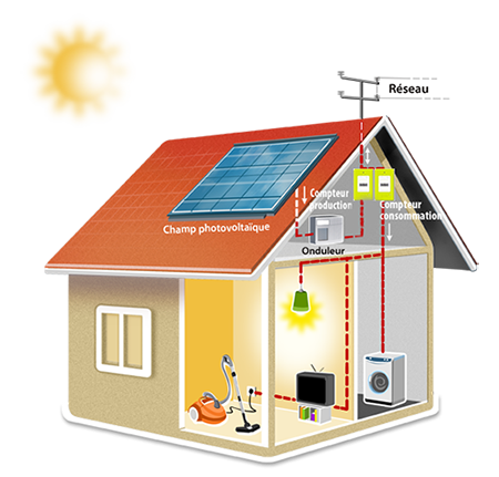 découvrez les avantages des champs solaires, une solution durable pour produire de l'énergie renouvelable. apprenez comment ces installations optimisent l'utilisation des ressources naturelles tout en contribuant à la réduction des émissions de carbone.