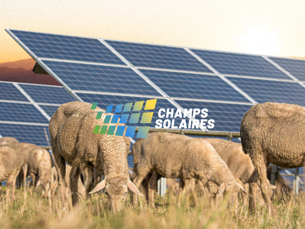 découvrez l'importance des champs solaires dans la production d'énergie renouvelable. explorez comment ces installations photovoltaïques transforment la lumière du soleil en électricité, réduisant ainsi notre dépendance aux énergies fossiles et contribuant à un avenir durable.