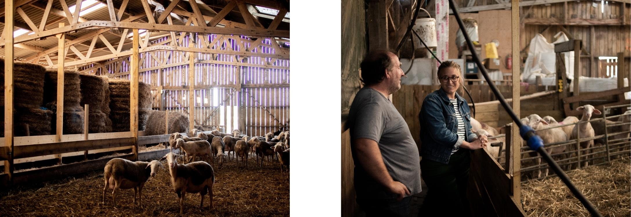 découvrez nos services d'estimation pour bâtiments agricoles. obtenez une évaluation précise de la valeur de votre propriété agricole grâce à notre expertise et à notre connaissance du marché.