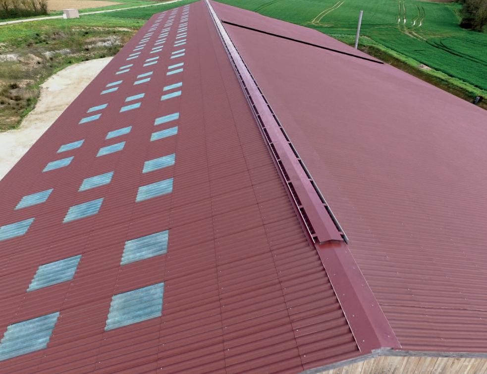 découvrez notre guide complet sur la pose de plaques de toiture, incluant les étapes nécessaires, les conseils d'experts et les matériaux recommandés pour garantir une installation efficace et durable.