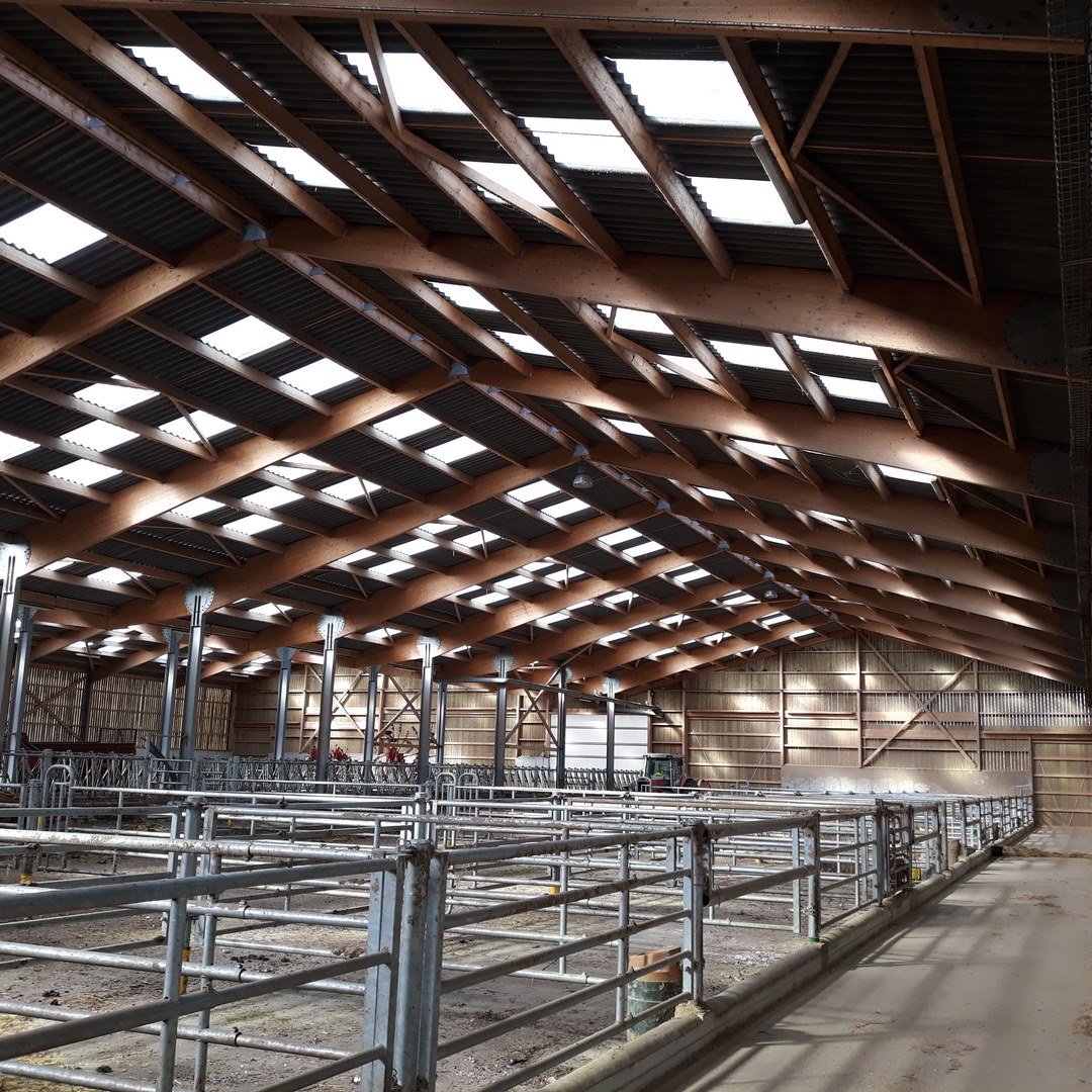 découvrez notre expertise en tant que constructeur de bâtiments agricoles. nous offrons des solutions sur mesure pour répondre à tous vos besoins en agriculture, alliant qualité, durabilité et innovation. transformez votre activité avec des infrastructures adaptées et performantes.