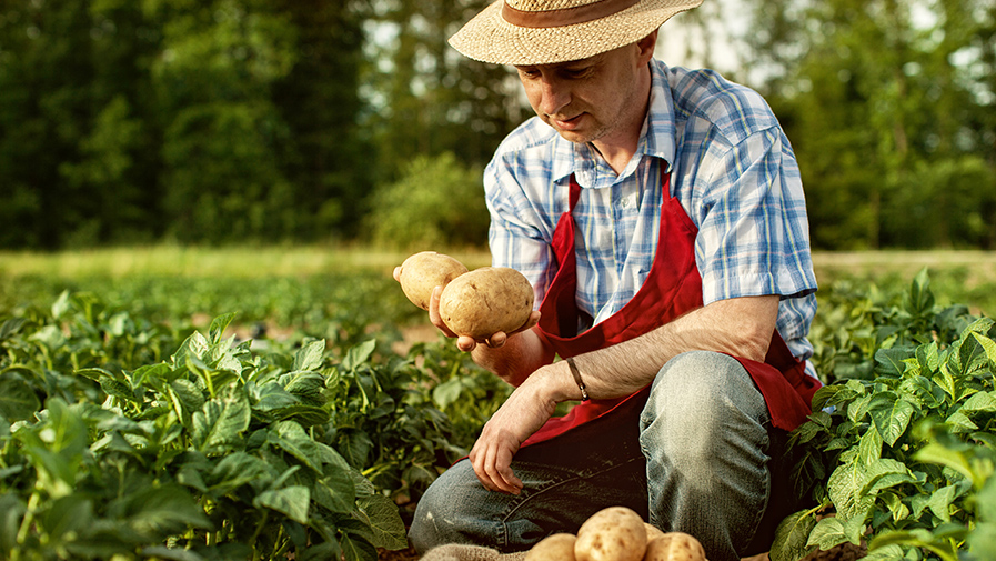 découvrez les enjeux et les pratiques de la conversion agricole, une démarche essentielle pour atteindre une agriculture durable et respecter la biodiversité. apprenez comment les agriculteurs adaptent leurs méthodes pour préserver l'environnement tout en garantissant une production alimentaire de qualité.