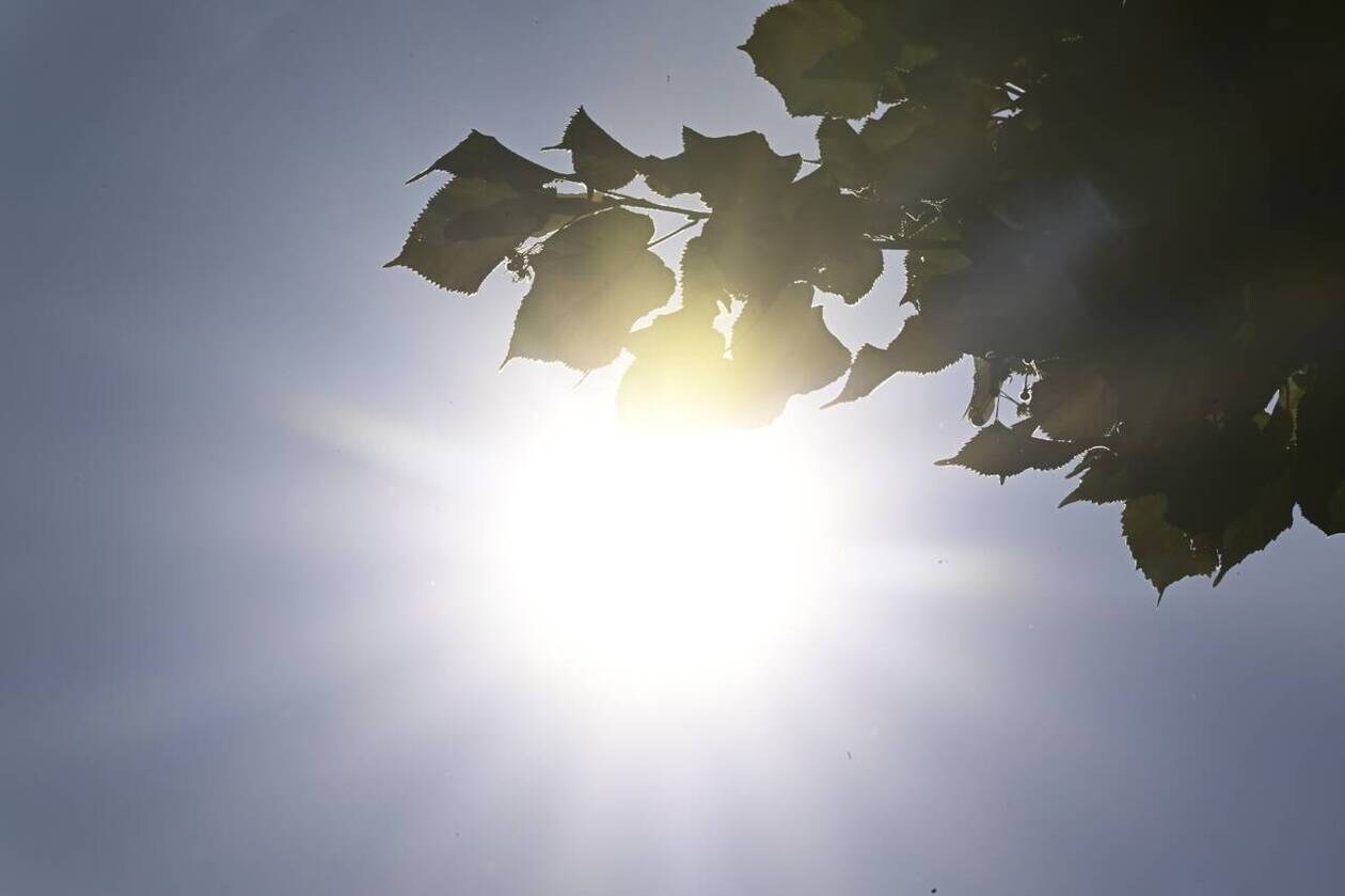 découvrez l'importance de l'ensoleillement sur notre environnement et notre bien-être. explorez les bénéfices du soleil pour la santé, l'agriculture, et l'utilisation énergétique, tout en apprenant à optimiser l'exposition au soleil dans votre quotidien.