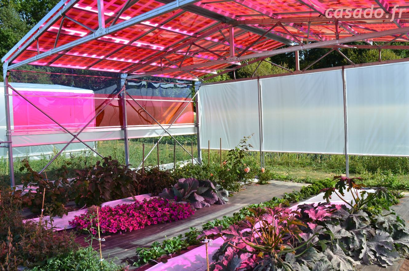 découvrez le coût d'une serre photovoltaïque et les avantages qu'elle offre pour cultiver vos plantes tout en produisant de l'énergie renouvelable. informez-vous sur les investissements, les économies d'énergie et les aides financières disponibles.