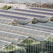 découvrez le coût d'une serre photovoltaïque et les avantages d'investir dans cette solution durable pour l'agriculture. obtenez des informations sur les économies d'énergie, les subventions disponibles et le retour sur investissement.
