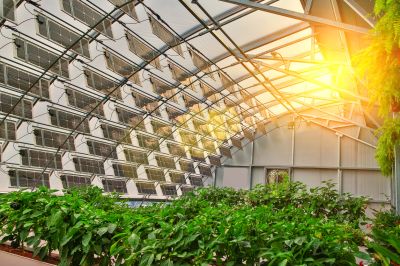 découvrez le coût d'une serre photovoltaïque et ses avantages économiques. informez-vous sur les investissements initiaux, les aides disponibles et le retour sur investissement potentiel pour allier durabilité et rentabilité dans votre projet de culture.