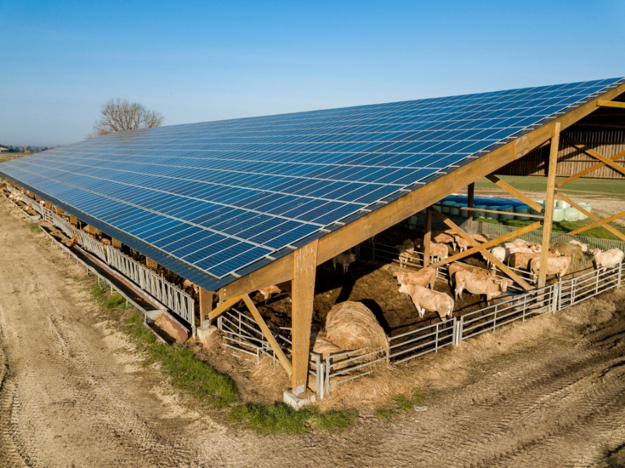 découvrez notre service de création de panneaux solaires sur mesure, adapté à vos besoins énergétiques. optimisez votre consommation d'énergie tout en contribuant à un avenir plus durable grâce à des solutions écologiques et innovantes.
