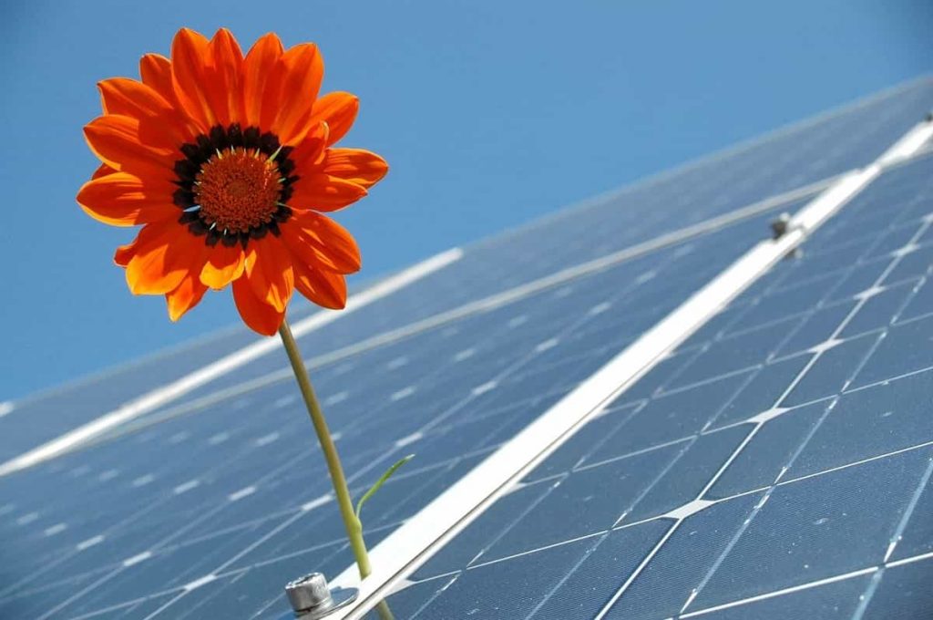 découvrez les possibilités infinies de la création solaire : des panneaux photovoltaïques aux installations de chauffage, transformez l'énergie du soleil en solutions durables et économiques pour votre maison ou votre entreprise.