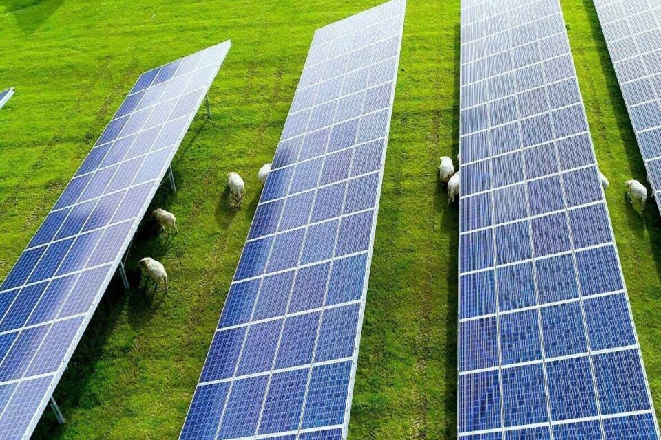 découvrez notre ferme solaire, un espace dédié à la production d'énergie renouvelable grâce à des panneaux solaires de pointe. engagez-vous pour un avenir durable tout en bénéficiant d'une énergie propre et respectueuse de l'environnement.