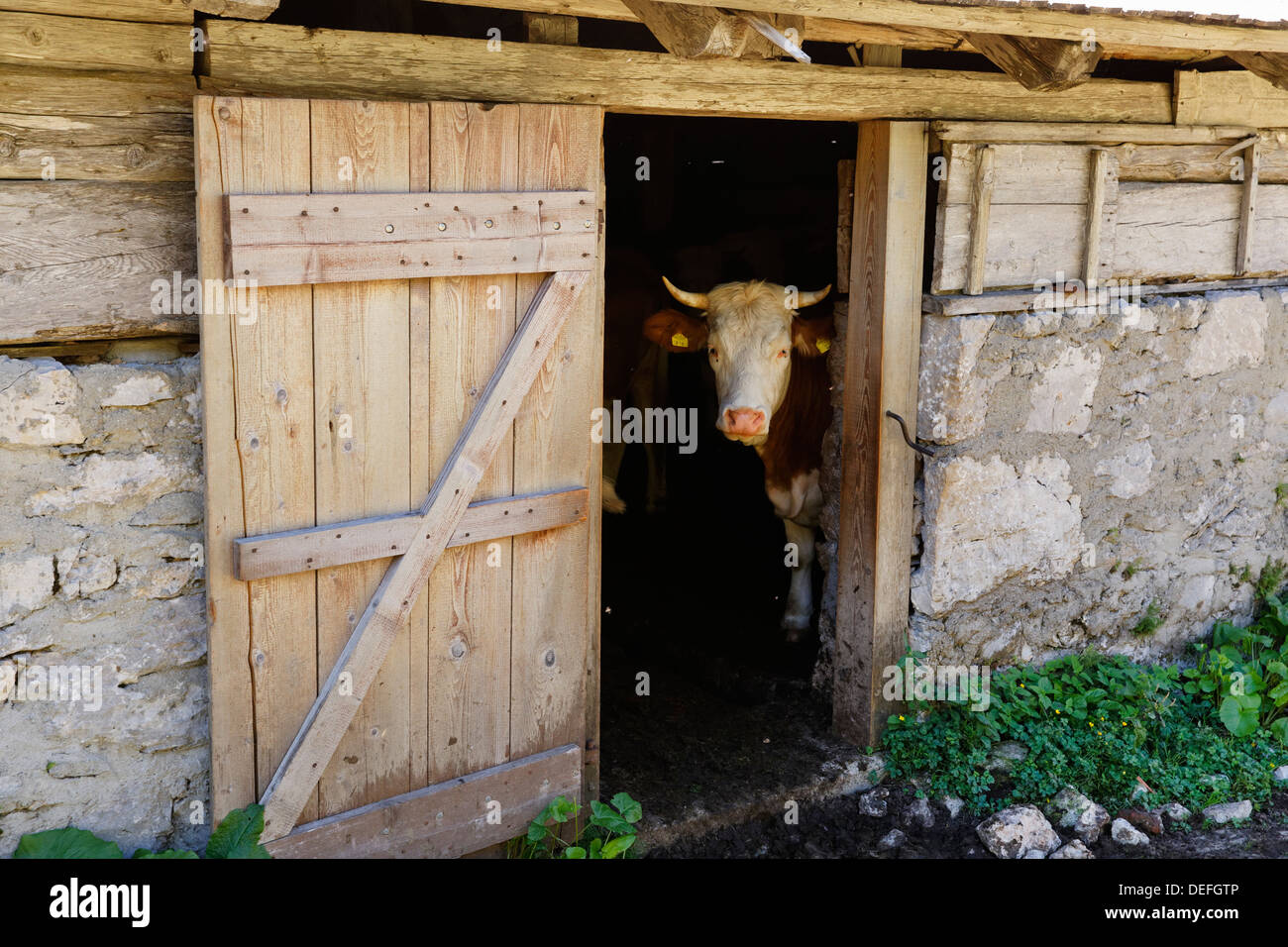 découvrez la définition d'un hangar, cet espace de stockage couvert souvent utilisé pour entreposer des matériaux, des équipements ou des véhicules. apprenez-en davantage sur ses caractéristiques, ses fonctions et son importance dans divers secteurs d'activité.