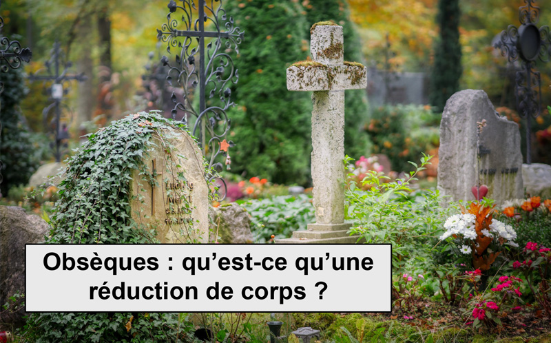 découvrez nos offres de réduction exclusives pour profiter de vos achats à prix mini. ne manquez pas nos promotions limitées et faites des économies sur vos produits préférés !