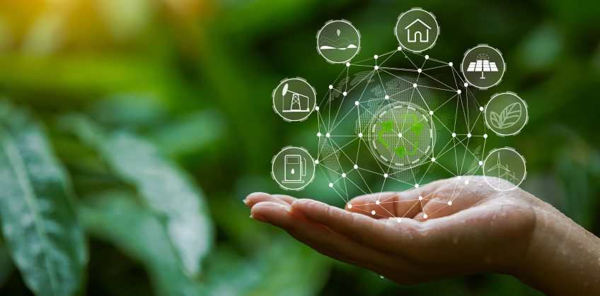 découvrez l'univers de l'écologie, ses enjeux environnementaux, ses solutions durables et comment chacun peut contribuer à préserver notre planète. informez-vous sur les pratiques écologiques, la biodiversité et les initiatives vertes qui font la différence.