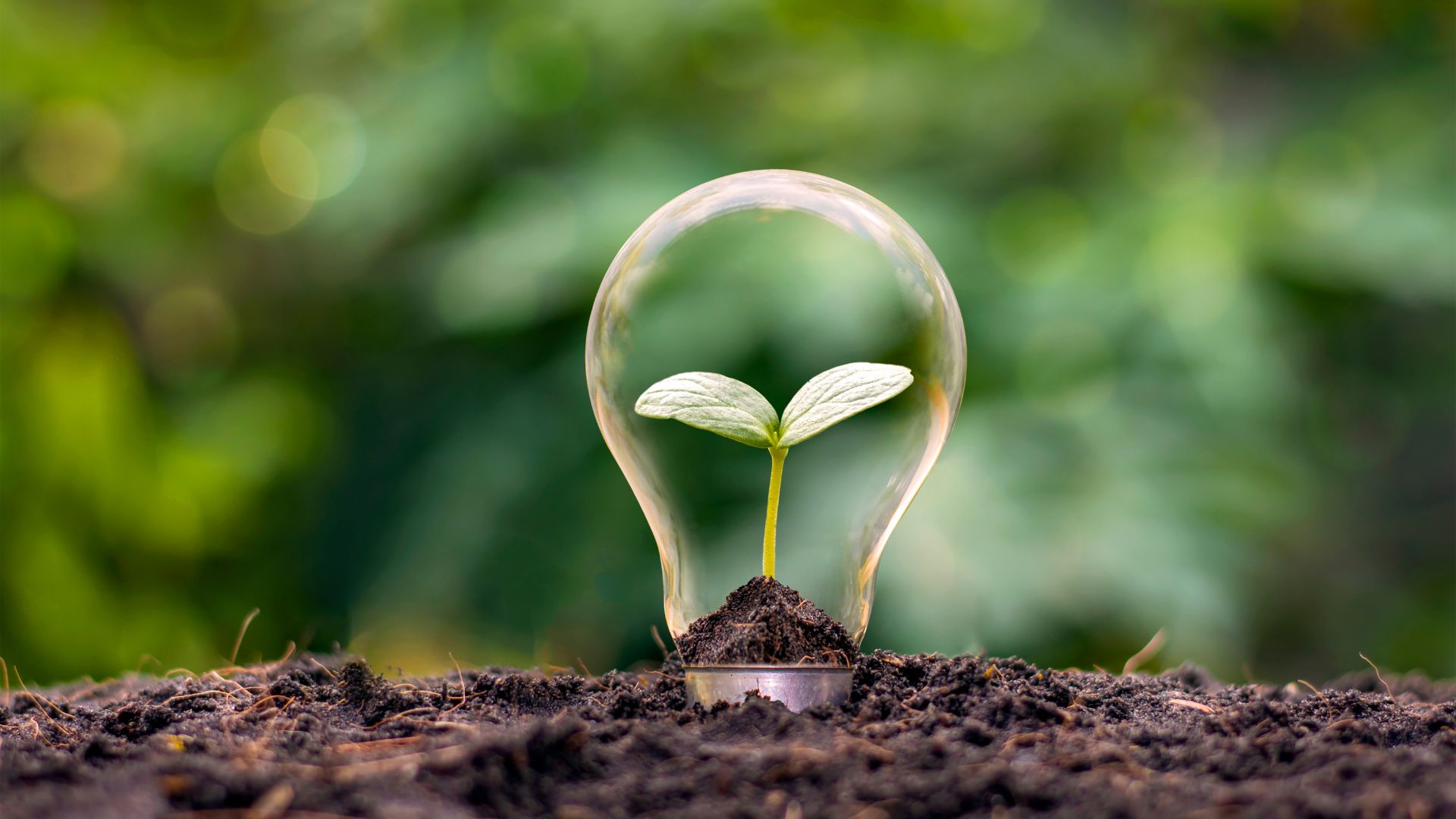 découvrez comment profiter de l'électricité gratuite grâce à nos astuces et conseils pratiques. transformez votre consommation d'énergie et réalisez des économies tout en contribuant à un environnement durable.