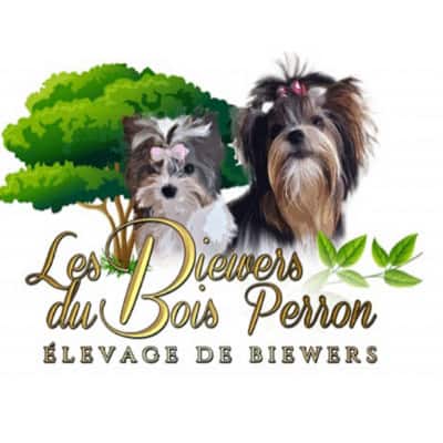 découvrez l'univers de l'élevage bois, une approche innovante et durable pour produire des animaux tout en préservant l'environnement. apprenez les techniques et avantages de cette méthode respectueuse de la nature.