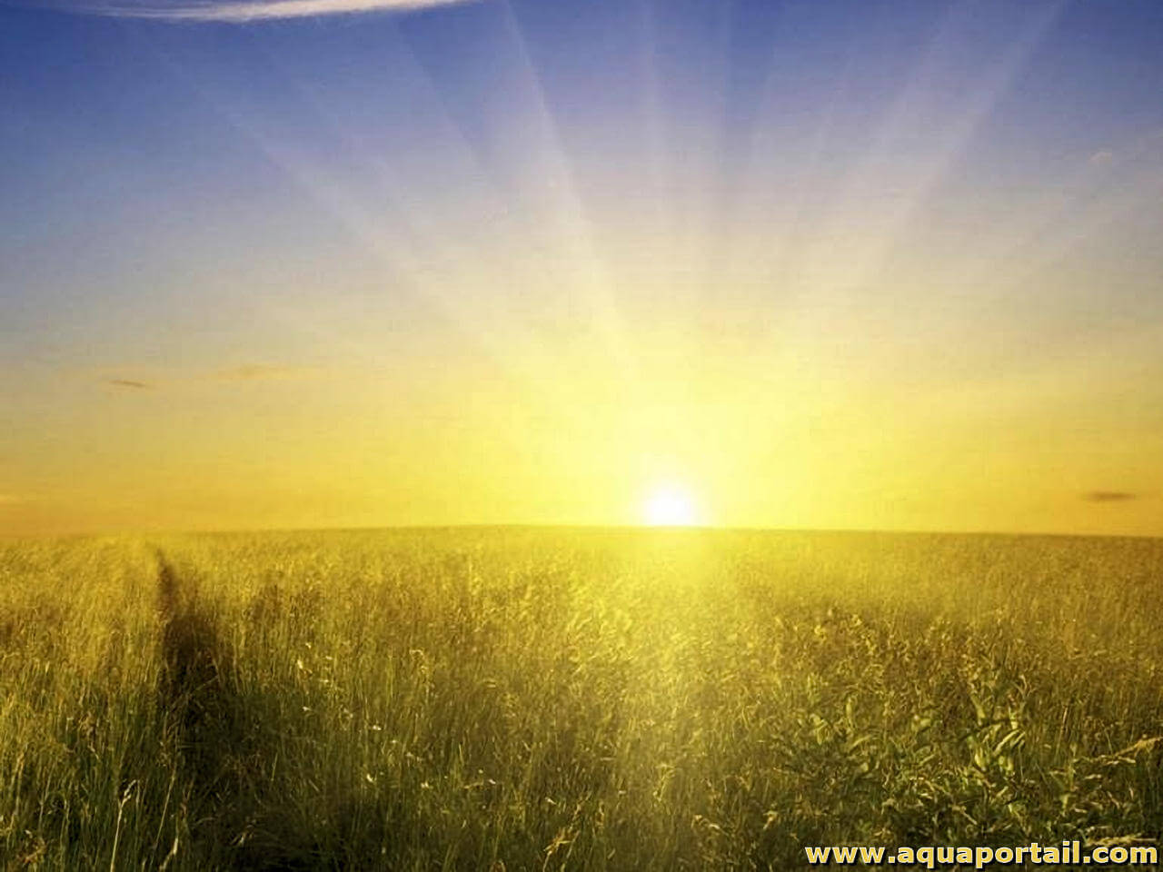 découvrez tout sur l'ensoleillement : son importance, ses effets sur la santé et l'environnement, ainsi que des conseils pour en profiter au mieux. apprenez comment maximiser votre exposition au soleil tout en préservant votre bien-être.